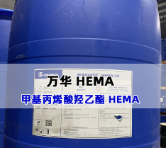  �׻���ϩ���u���� HEMA 2-HEMA